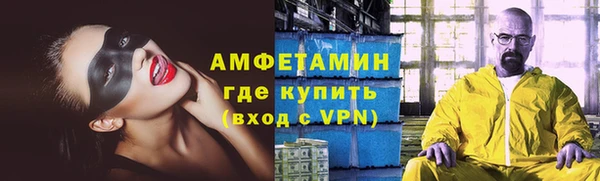 прущие грибы Пересвет