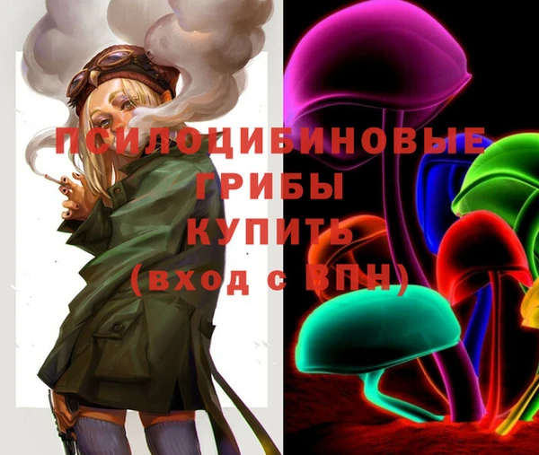 спиды Покров