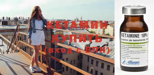 прущие грибы Пересвет