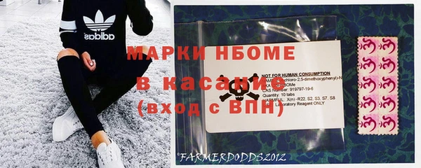 прущие грибы Пересвет