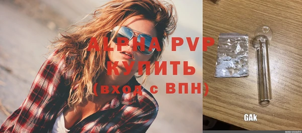 прущие грибы Пересвет