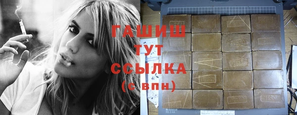 гидра Гатчина