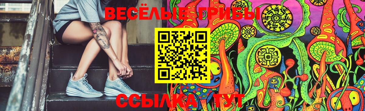 Дальнереченск  Псилоцибиновые грибы MAGIC MUSHROOMS  купить   Вход с VPN 